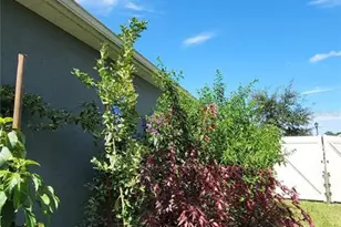 493 Nowell Loop, Deland, FL 32724 - Photo 31