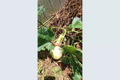 493 Nowell Loop, Deland, FL 32724 - Photo 37