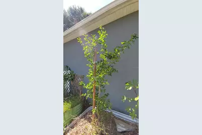 493 Nowell Loop, Deland, FL 32724 - Photo 33