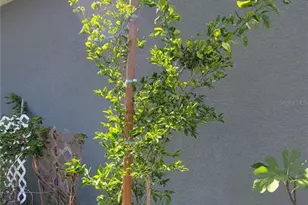 493 Nowell Loop, Deland, FL 32724 - Photo 33