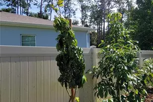 493 Nowell Loop, Deland, FL 32724 - Photo 35