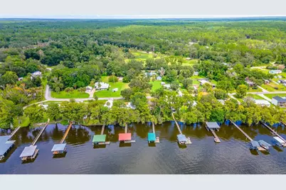 121 N Lake George Drive, Georgetown, FL 32139 - Photo 7