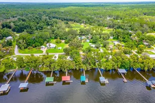 121 N Lake George Dr, Georgetown, FL 32139 - Photo 9