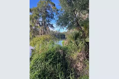 1117 Piney Woods Trail, Osteen, FL 32764 - Photo 13