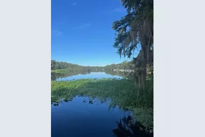 1117 Piney Woods Trail, Osteen, FL 32764 - Photo 31