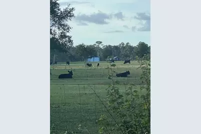 1117 Piney Woods Trail, Osteen, FL 32764 - Photo 5