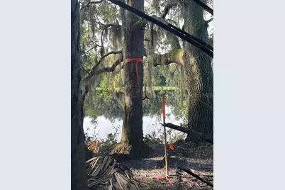 1117 Piney Woods Trail, Osteen, FL 32764 - Photo 15