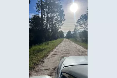 1117 Piney Woods Trail, Osteen, FL 32764 - Photo 23