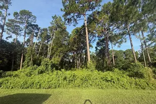 40 Dial Ave, Debary, FL 32713 - Photo 1