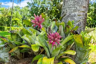 1020 Old Big Tree Rd, Daytona Beach, FL 32119 - Photo 25