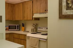 120 Hibiscus Woods Ct, Deltona, FL 32725 - Photo 7