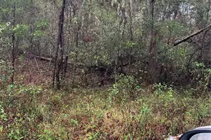 290 S Industrial Dr, Orange City, FL 32763 - Photo 1