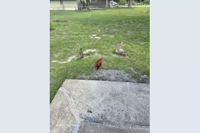 1037 Collins Avenue, Orange City, FL 32763 - Photo 49