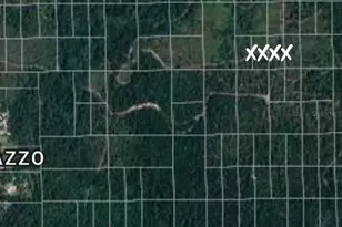 N Name, Deland, FL 32724 - Photo 1