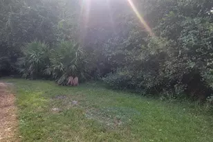 160 Live Oak Woods Ct, Deltona, FL 32725 - Photo 19