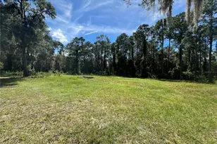 [Address not provided], Georgetown, FL 32139 - Photo 23