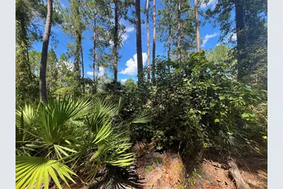 123 Linderwood Drive, Georgetown, FL 32139 - Photo 29