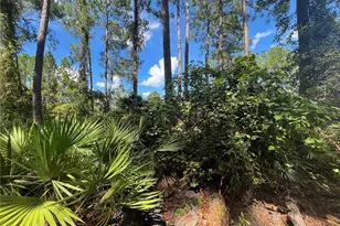 123 Linderwood Dr, Georgetown, FL 32139 - Photo 29