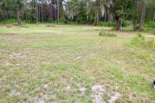 123 Linderwood Dr, Georgetown, FL 32139 - Photo 27
