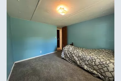 123 Linderwood Drive, Georgetown, FL 32139 - Photo 15