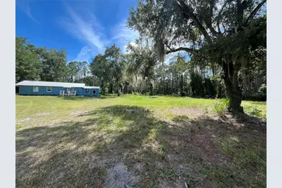 123 Linderwood Drive, Georgetown, FL 32139 - Photo 1