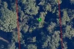 240 W Elm Dr, Orange City, FL 32763 - Photo 1