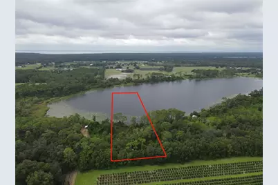 Turkey Shoot Road, Pierson, FL 32180 - Photo 1