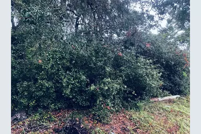 2832 Howland Boulevard, Deltona, FL 32725 - Photo 3