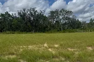 93 Coronado Rd, Flagler Beach, FL 32136 - Photo 1