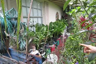 1329 Herndon Ave, Deltona, FL 32725 - Photo 39