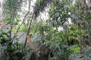 1329 Herndon Ave, Deltona, FL 32725 - Photo 23