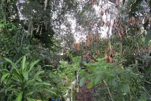 1329 Herndon Ave, Deltona, FL 32725 - Photo 27