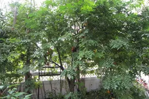 1329 Herndon Ave, Deltona, FL 32725 - Photo 37