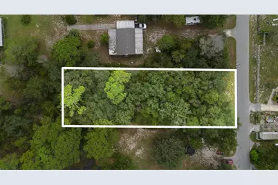 0 Cedar Street, Paisley, FL 32767 - Photo 1