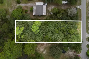 0 Cedar St, Paisley, FL 32767 - Photo 1