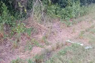 88 Dirksen Dr, Debary, FL 32713 - Photo 1