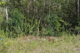 East Pkwy, Deland, FL 32724 - Photo 1