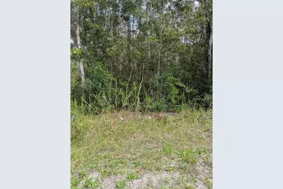 East Parkway, Deland, FL 32724 - Photo 5