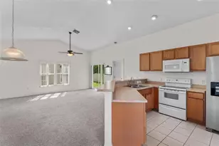 202 Pine Bluff Ave, Deland, FL 32724 - Photo 3