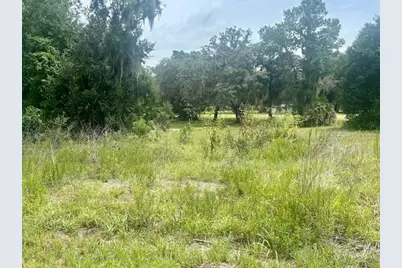 161 Live Oak Circle, Crescent City, FL 32112 - Photo 1