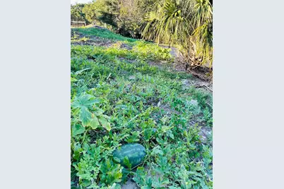 1889 Ranchland Trail, Longwood, FL 32750 - Photo 45