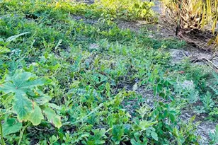 1889 Ranchland Trail, Longwood, FL 32750 - Photo 45