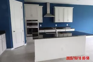 897 Honey Petal Ln, Deland, FL 32720 - Photo 3