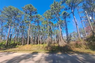 5146 Lime Ave, Bunnell, FL 32110 - Photo 1