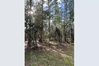 207 Ocala Court, Georgetown, FL 32139 - Photo 3