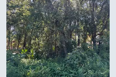 Beau Court, Orange City, FL 32763 - Photo 1