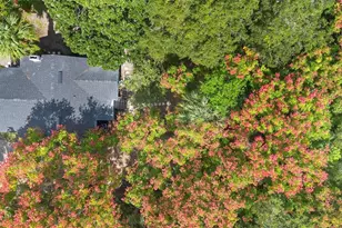 135 S Arlington Ave, Deland, FL 32724 - Photo 33