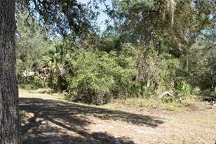 47110 Central Ave, Paisley, FL 32767 - Photo 23