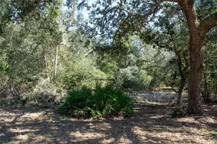 47110 Central Ave, Paisley, FL 32767 - Photo 21