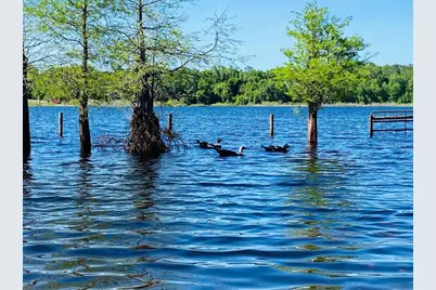 1210 Gem Lane, Lake Helen, FL 32744 - Photo 53